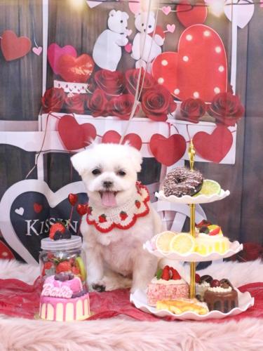 20250228マルちゃん